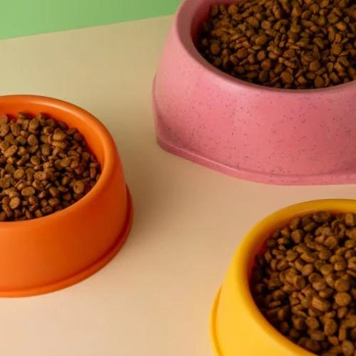 Fornecedor de produtos para pet shop no atacado