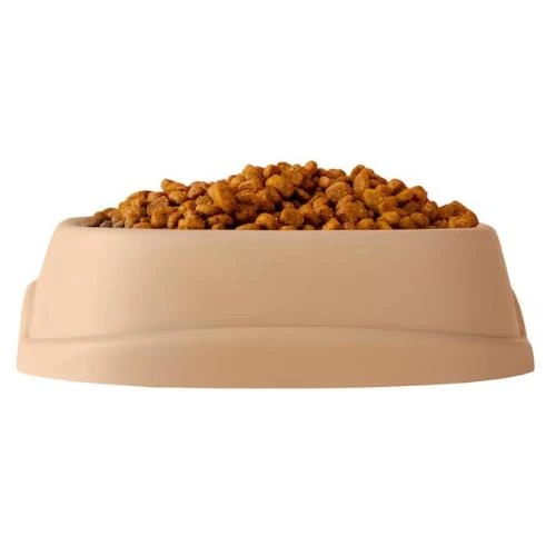 Fornecedores de produtos para pet shop