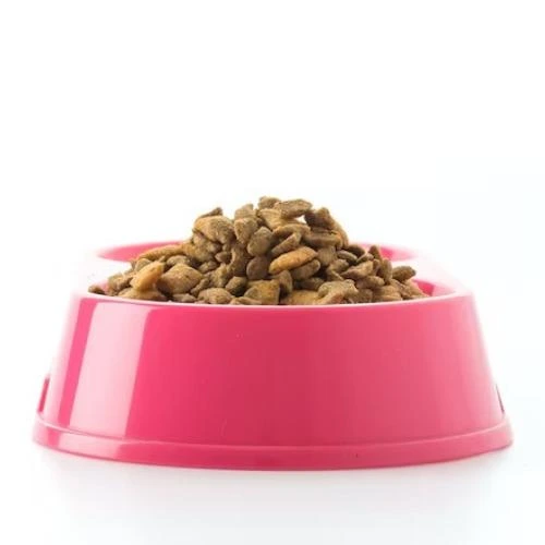 Produtos de pet shop no atacado em São Paulo