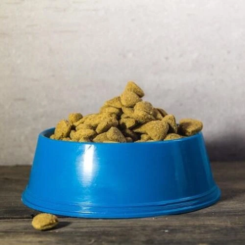 Produtos reciclados para pet shop em São Paulo